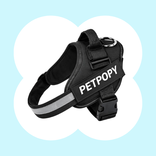 Petpopy Custom No Pull Dog Harness