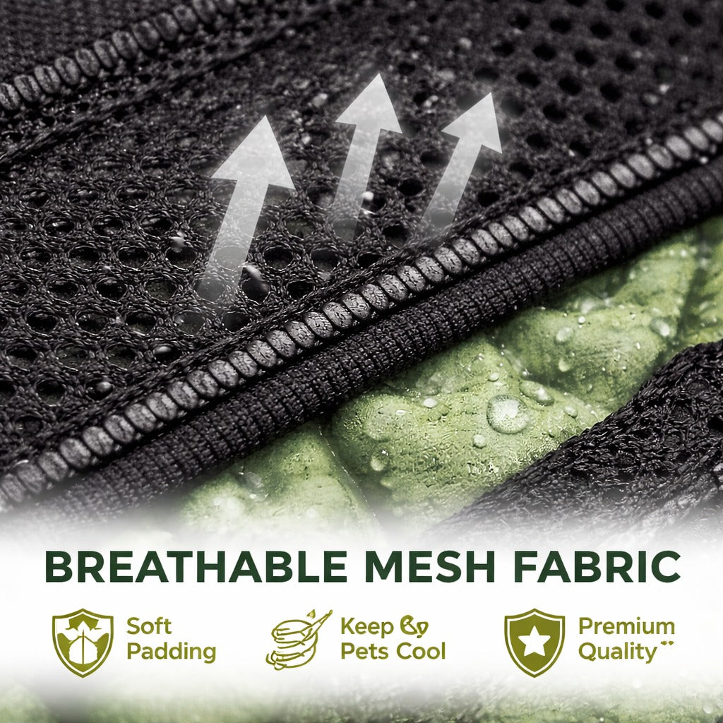 Petpopy Custom No Pull Dog Harness