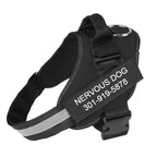 Petpopy Custom No Pull Dog Harness