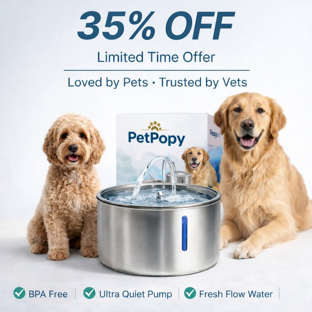 Petpopy Stainless Steel Pet Water Fountain