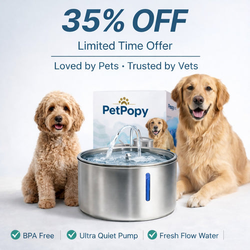 Petpopy Stainless Steel Pet Water Fountain