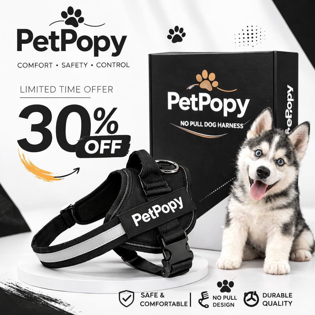 Petpopy Custom No Pull Dog Harness